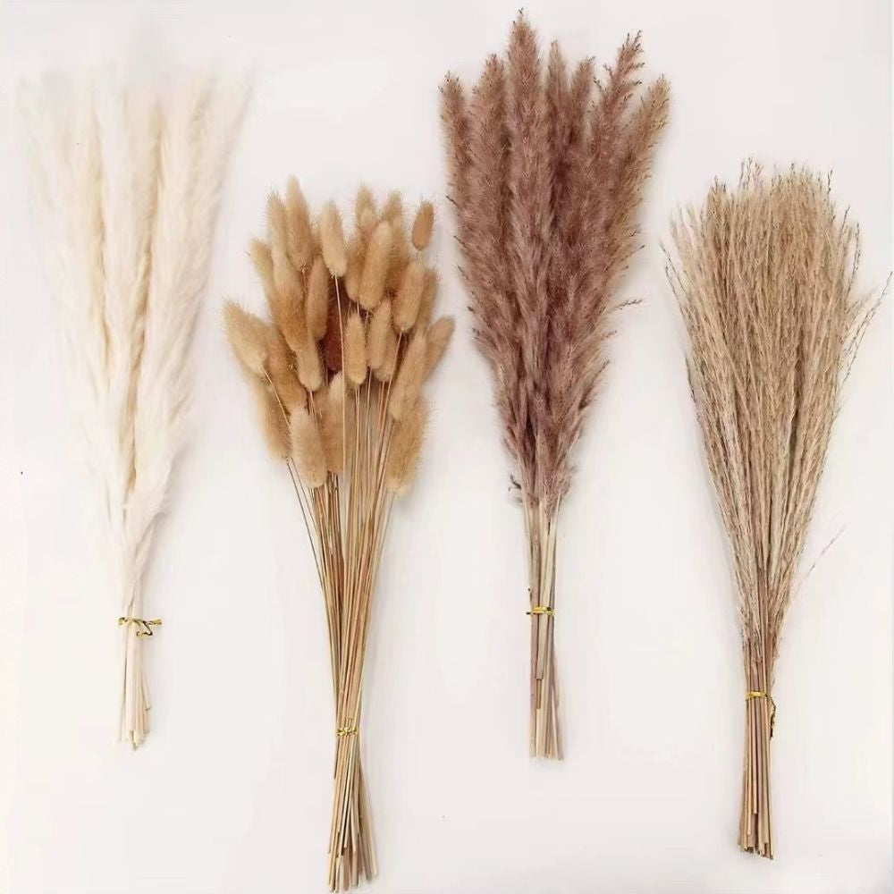 Set Decorativo de Pampas secas