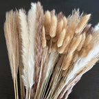 Set Decorativo de Pampas secas