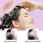 Cepillo Masajeador 2 en 1 para Cabello
