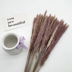 Set Decorativo de Pampas secas