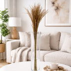 Set Decorativo de Pampas secas