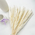 Set Decorativo de Pampas secas