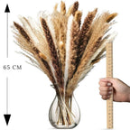 Set Decorativo de Pampas secas